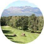 Image for Golf Club Biella "Le Betulle" course