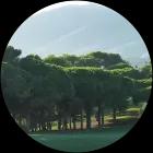Image for Golf Torrequebrada course
